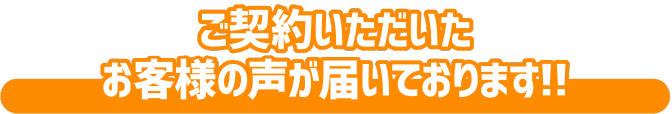 お客様の声